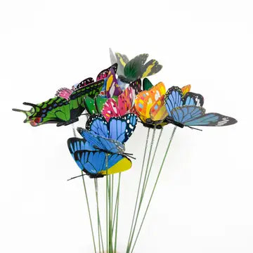 Flying Butterflies