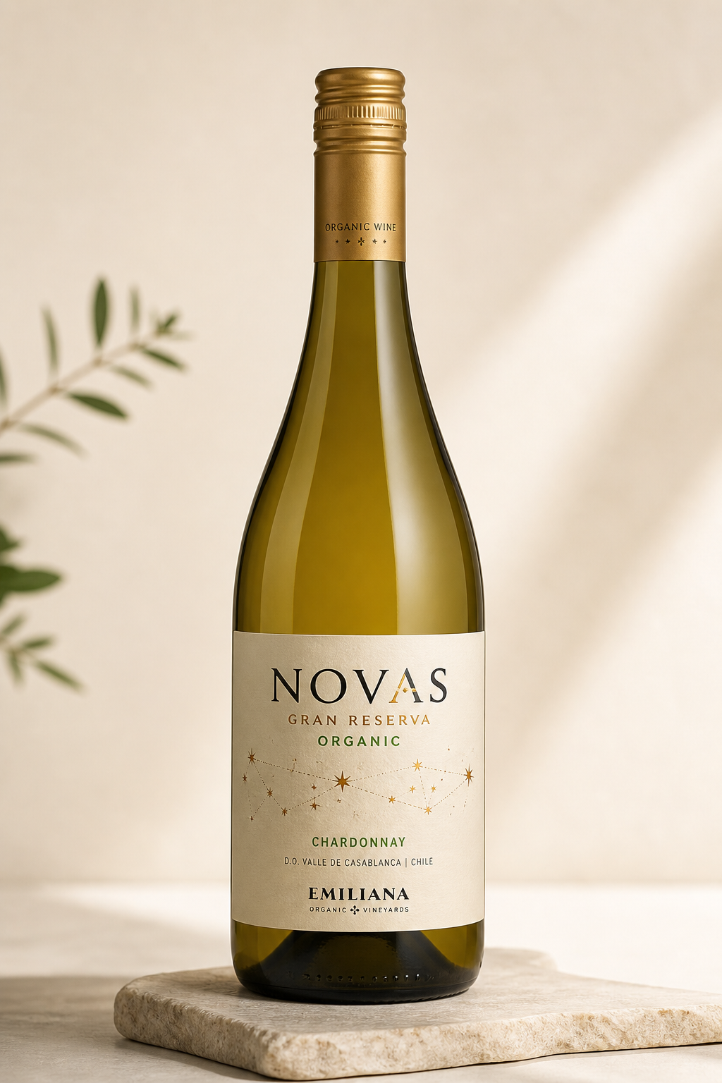 Novas Gran Reserva Organic Chardonnay