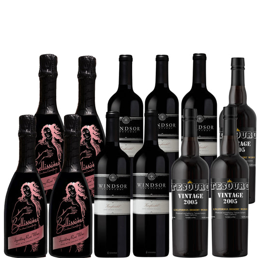 Raise a Glass with the Perfect Party Wine Set!