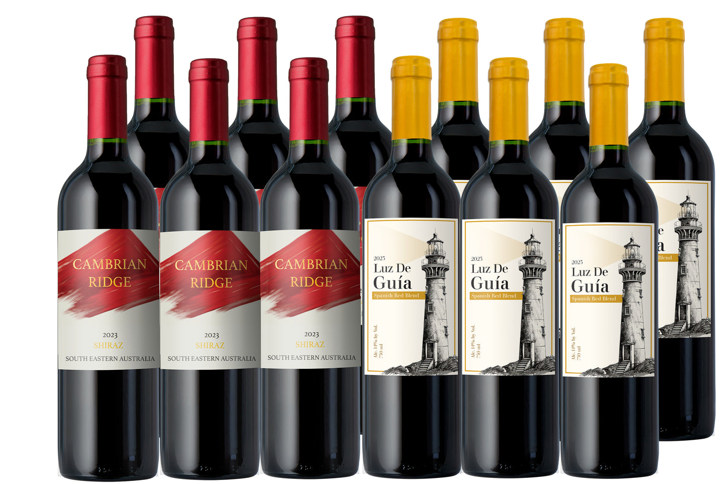 Vino Voyage Wines of the World 12 Bottle Wine