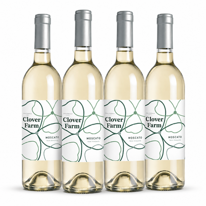 Vino Voyage Award Winning Wines- 4 Bottle Sets