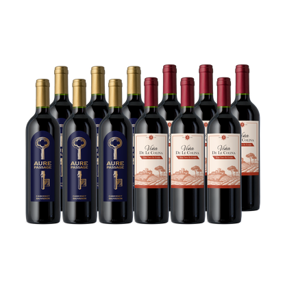 Vino Voyage Discovery Wine Set 12 Bottle Set