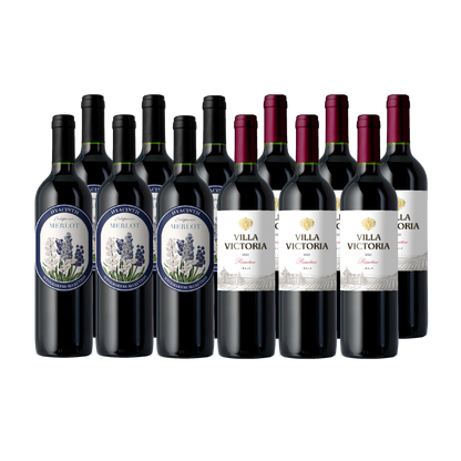 Vino Voyage: Wine Favorites 12 Bottle Wine Set